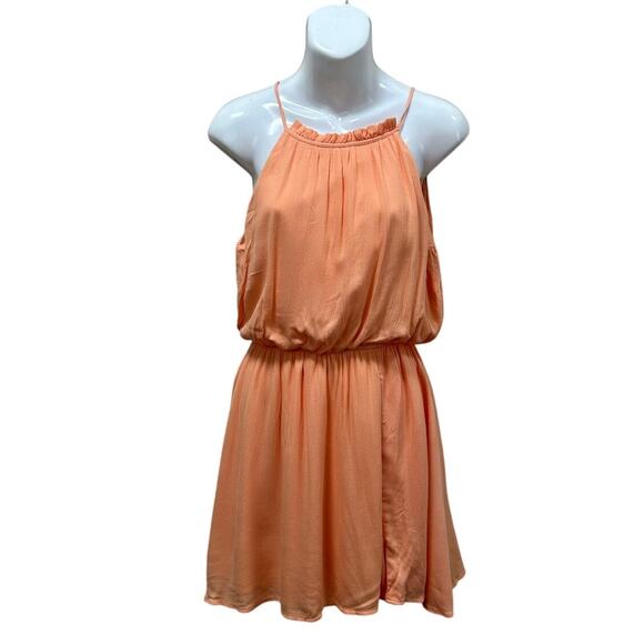 Francesca Blue Rain Peach Fit and Flare Dress NWT size S - Picture 2 of 8